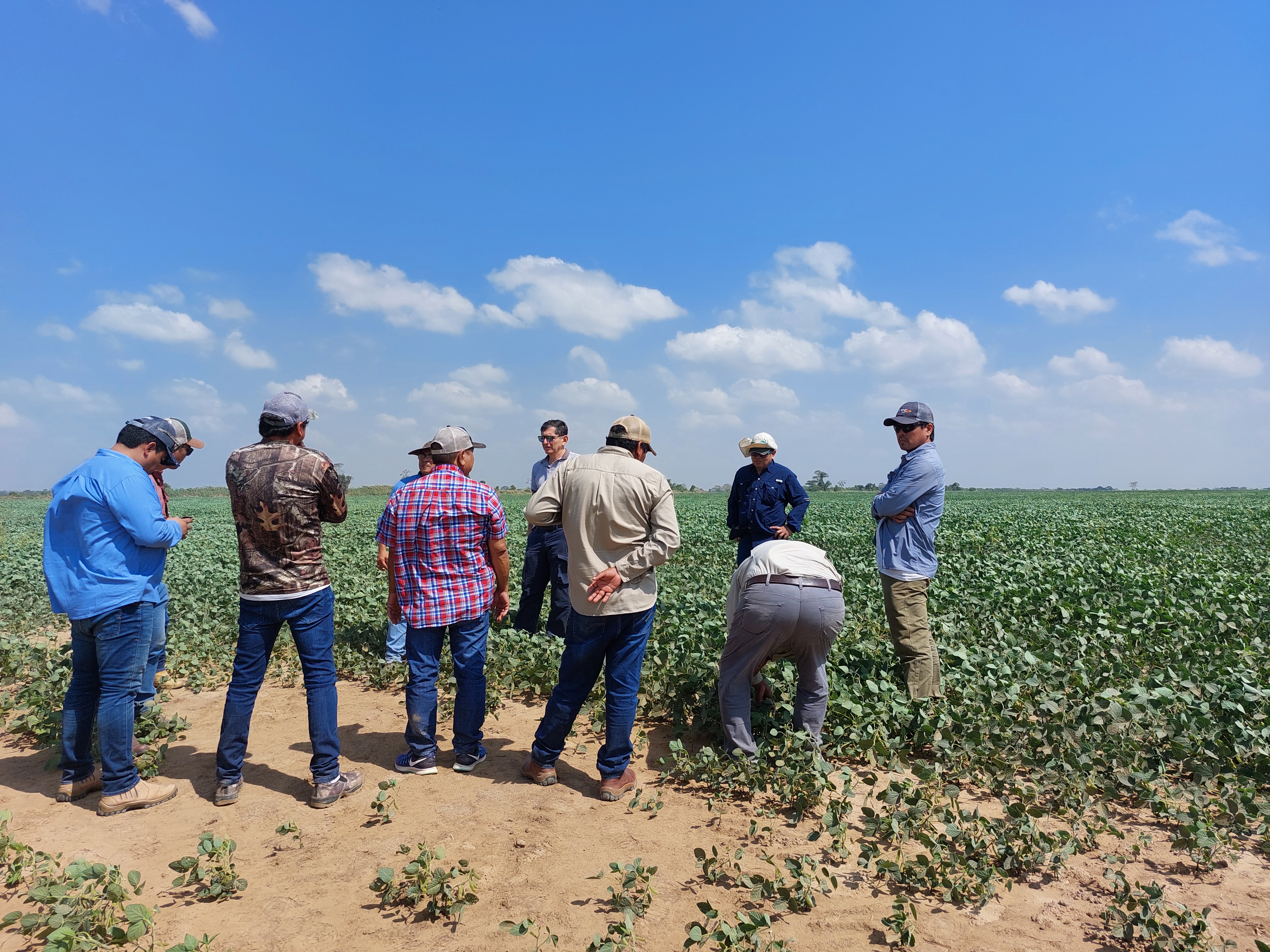 grupo de agricultores debatiendo problemas de malezas con asesor